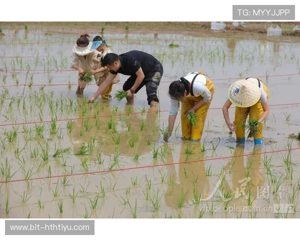 华体会最新地址大全，提供多种便捷的登录入口选择